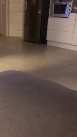 les dinguerie de periscope